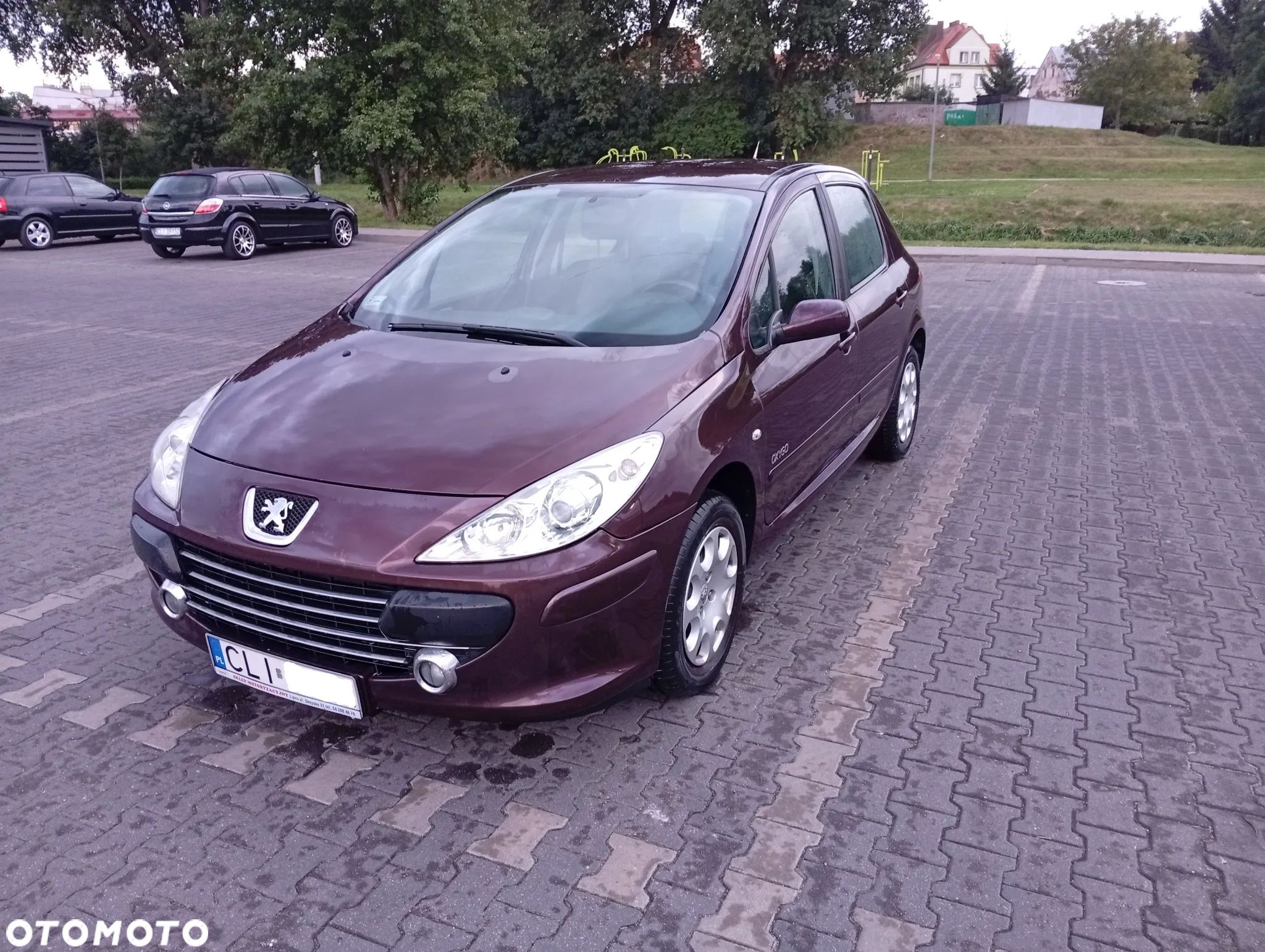 Peugeot 307 1.6 HDI Oxygo - 1