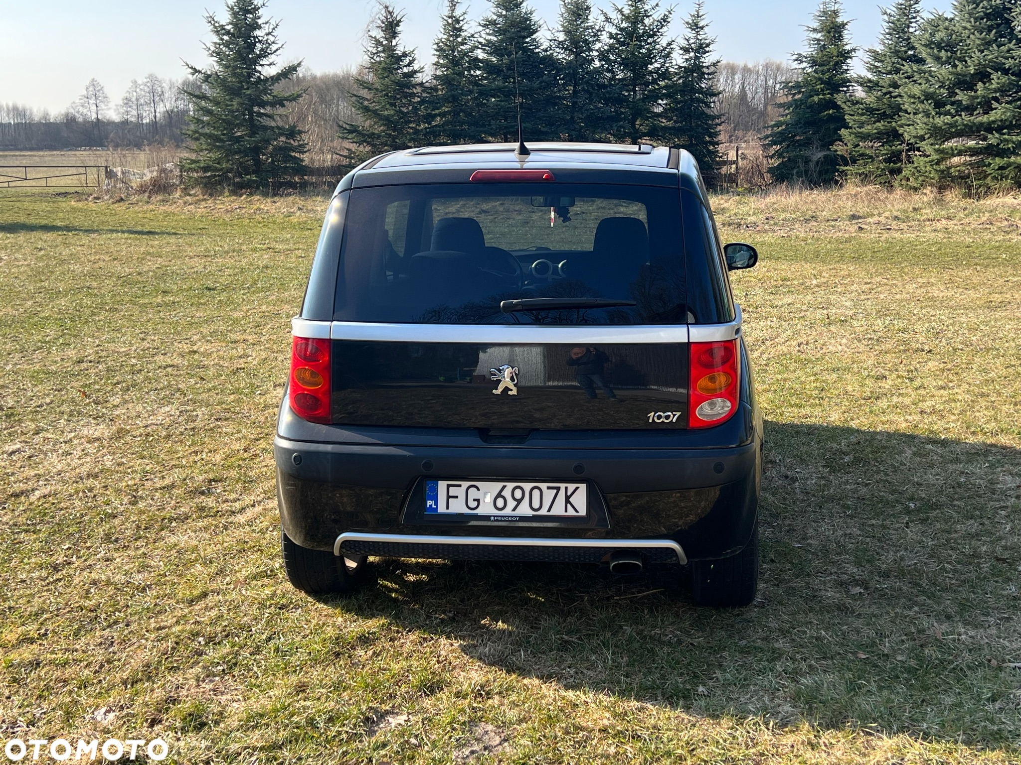 Peugeot 1007 - 5