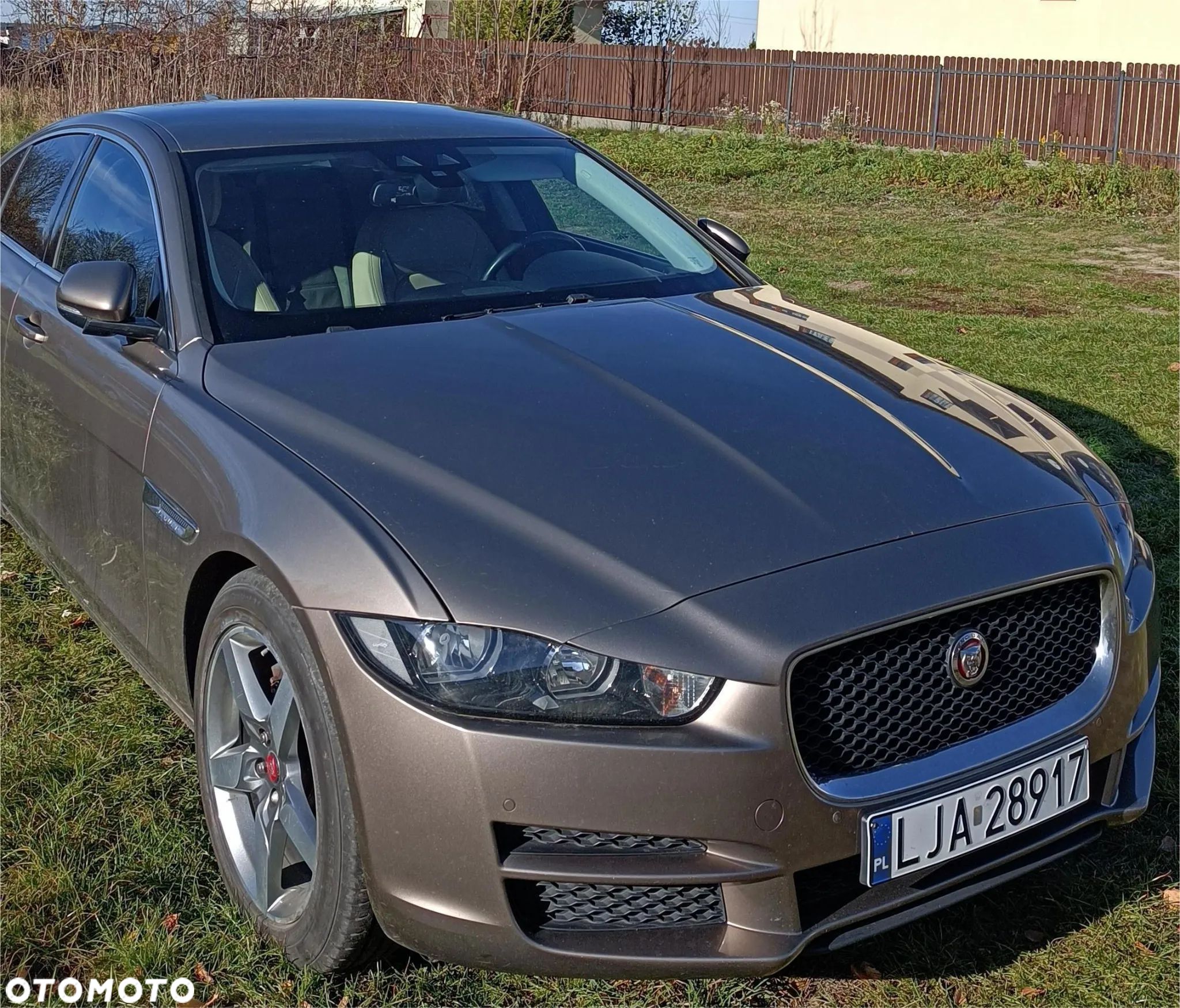 Jaguar XE - 1
