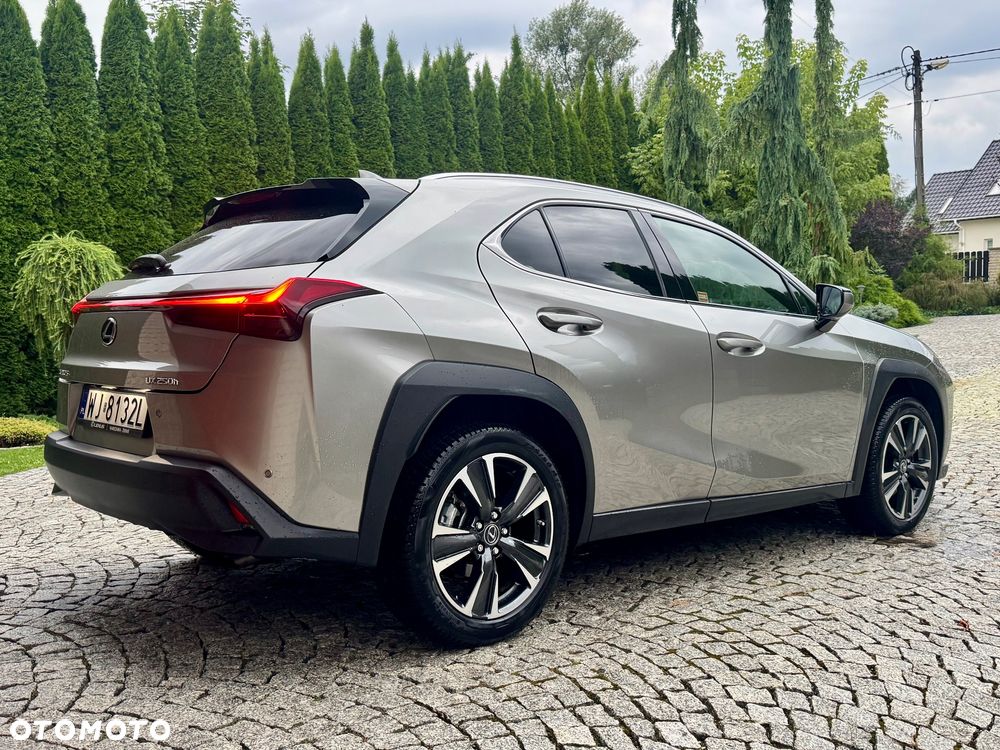 Lexus UX 250h F Sport 2WD - 36
