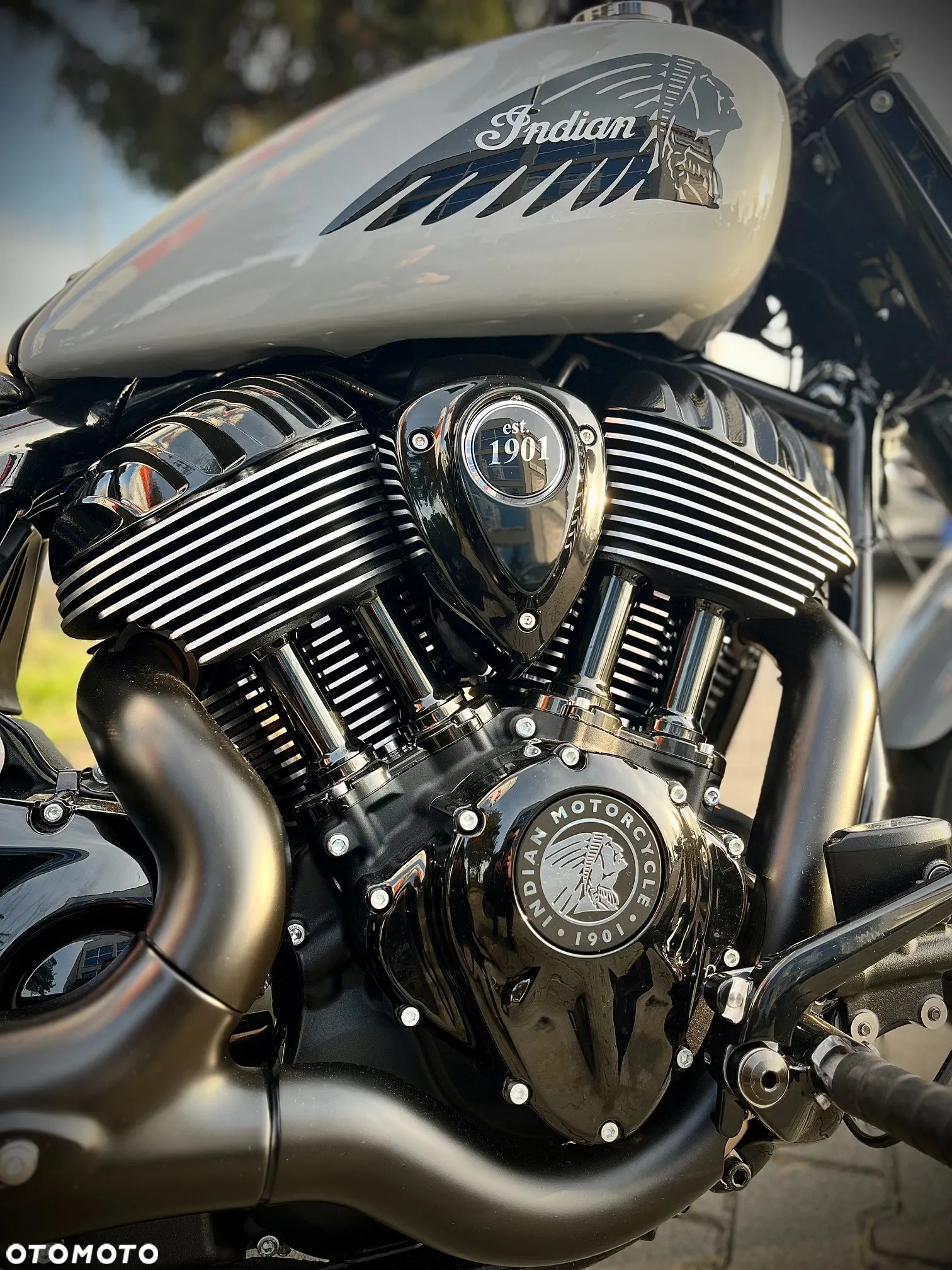 Indian Chief - 4