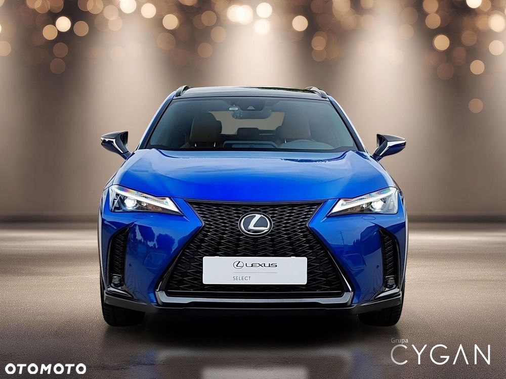 Lexus UX 250h GPF F Sport Design 2WD - 10