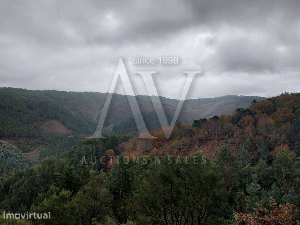 Terreno rústico - Vale Covo, Área de Gondramaz - VILA NOVA - MIRAND... - Grande imagem: 4/5