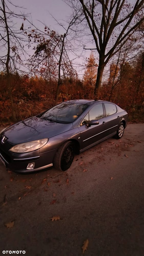 Peugeot 407 2.0 HDI ST Komfort EU4 - 2