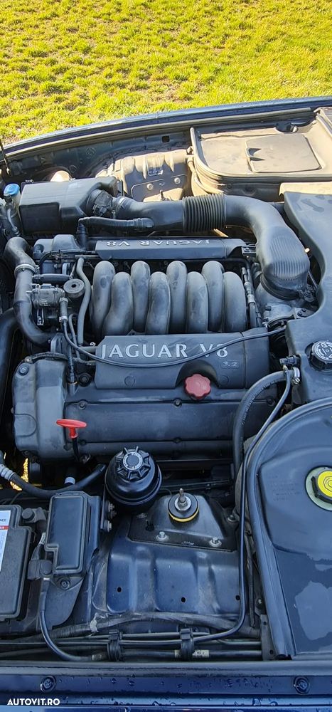 Jaguar XJ XJ6 3.0 Executive - 18