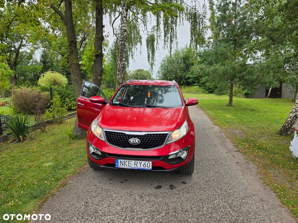 Kia Sportage - 6