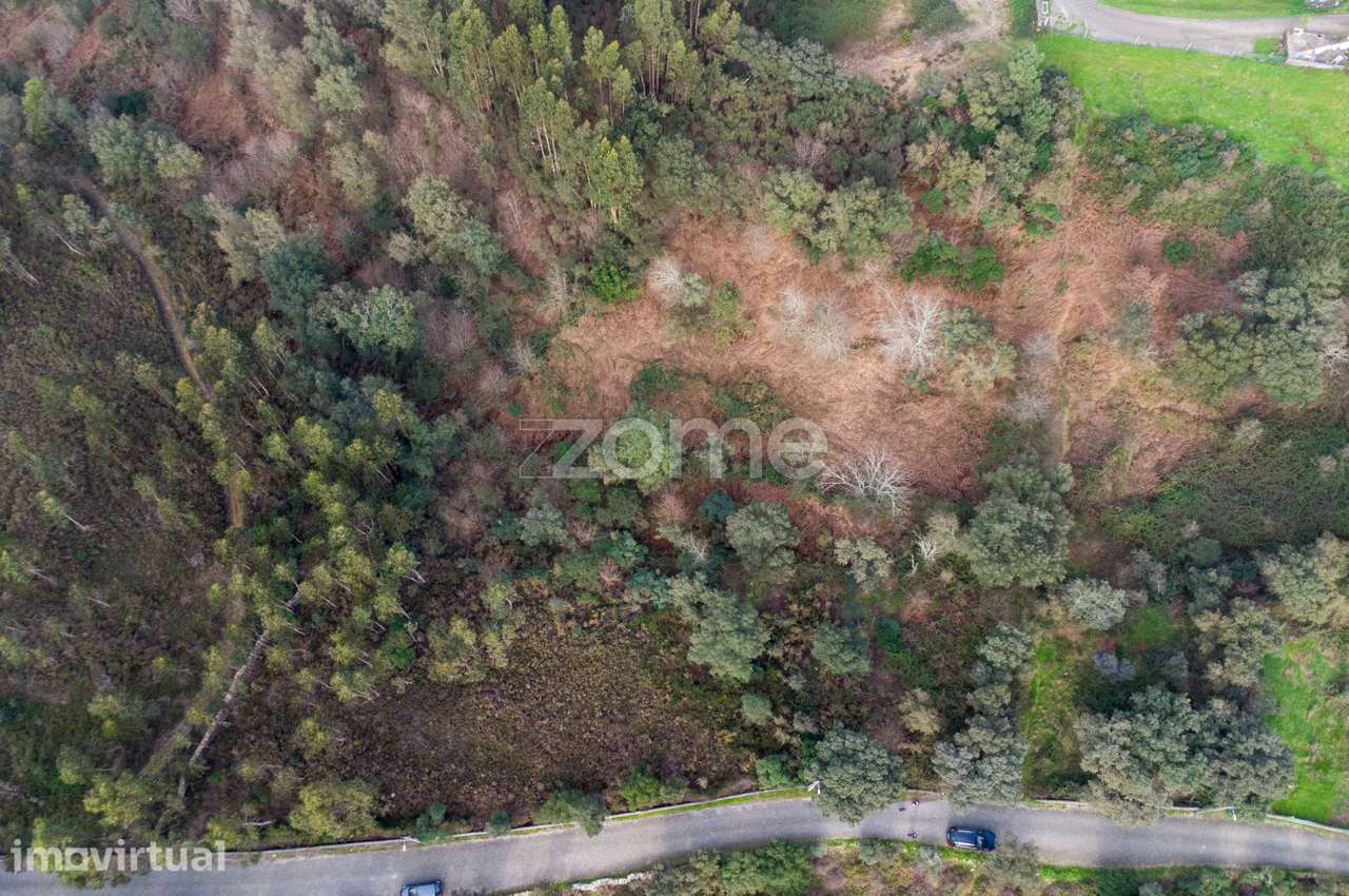 Terreno com 5.620 m2 para construção de moradias - Rio Mau, Penafiel - Grande imagem: 5/15