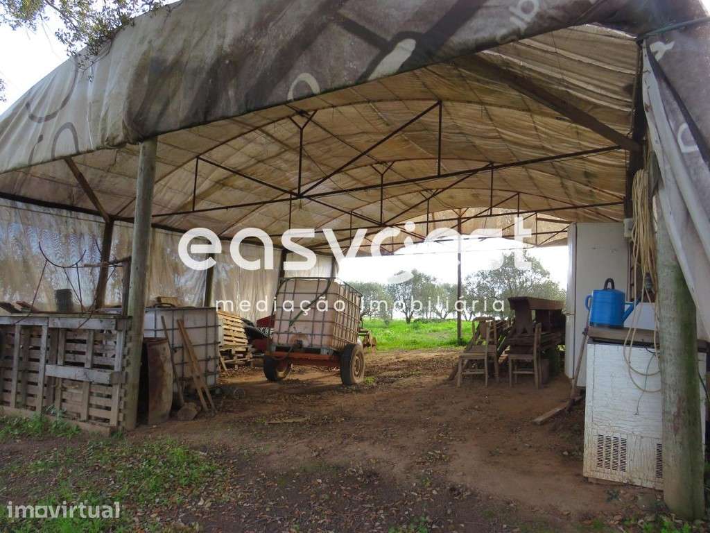 Terreno com Potencial Turístico - São Francisco Serra - Grande imagem: 4/18