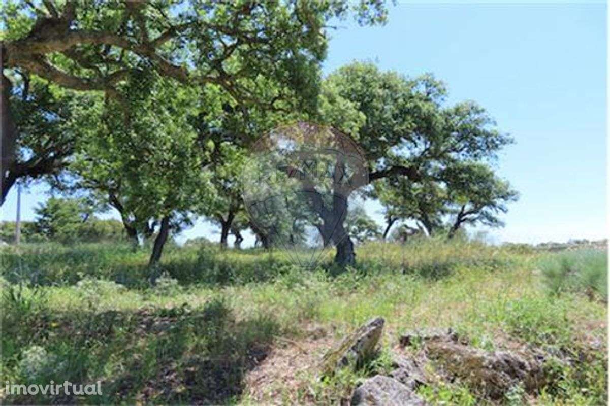 Quinta T0 para venda - Grande imagem: 3/18