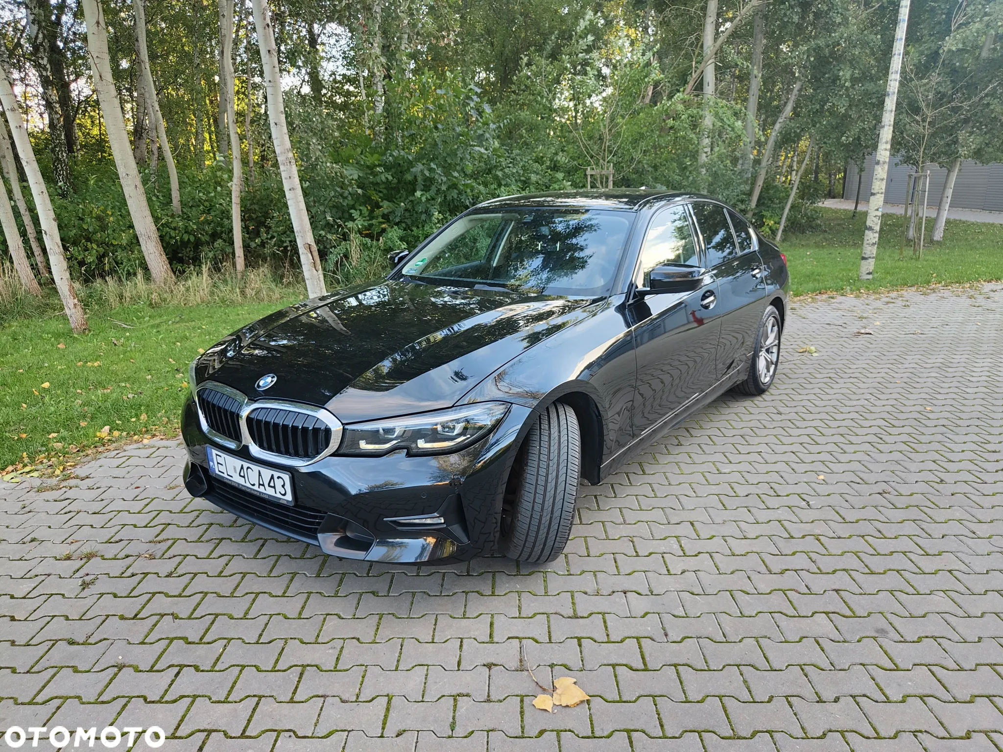 BMW Seria 3 318d Sport Line - 6