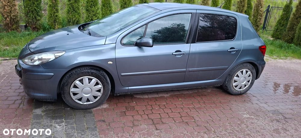 Peugeot 307 1.6 Trendy - 2