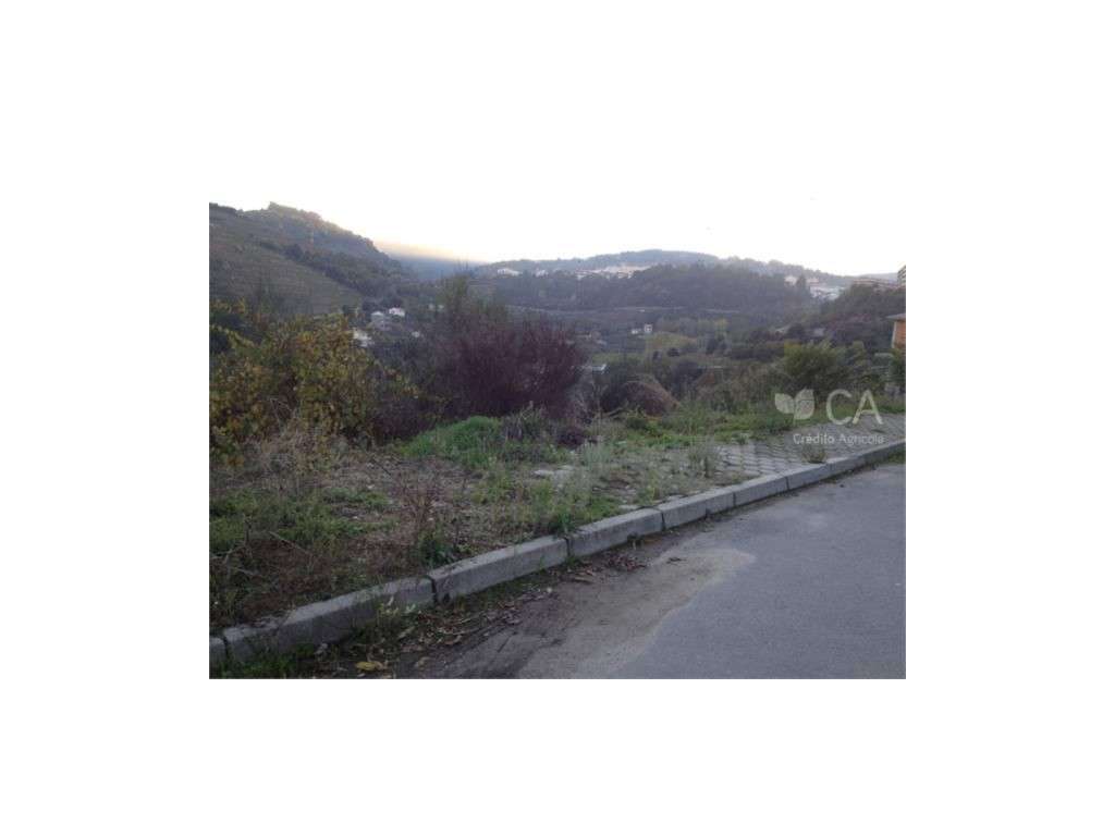Lote de terreno próximo do Hotel Lamego, junto à Adega Cooperativa ... - Grande imagem: 4/4