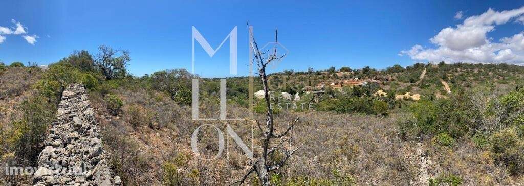 Terreno rustico com potencial de construção em análise - Grande imagem: 3/5