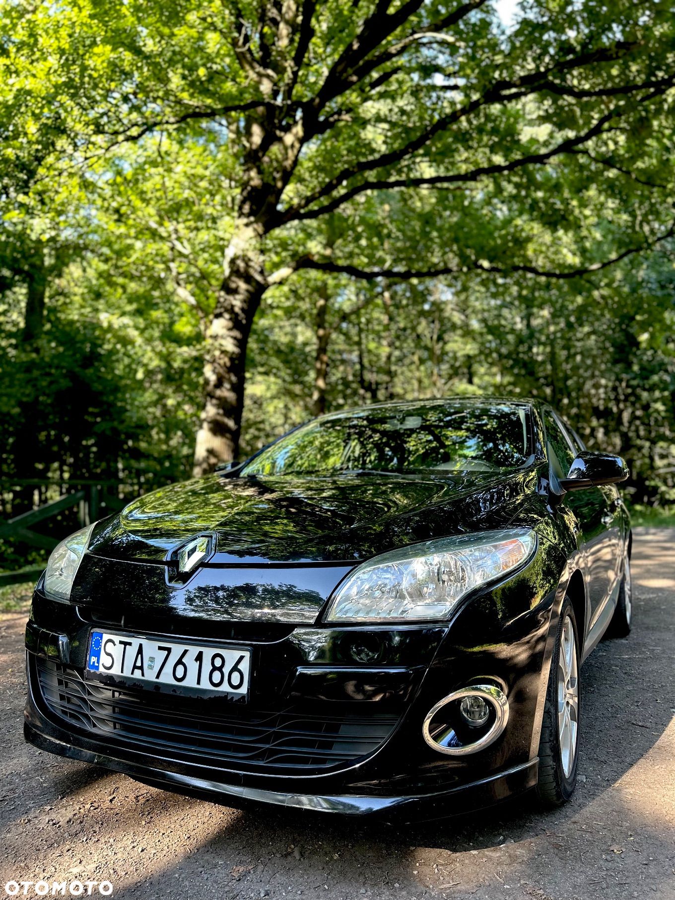 Renault Megane - 1