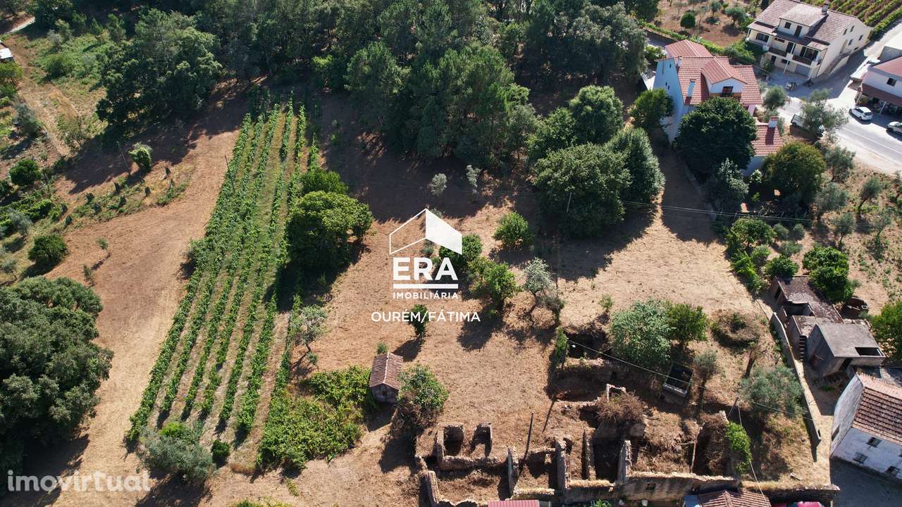 Terreno com Ruína com cerca de dois Hectares - Grande imagem: 4/16