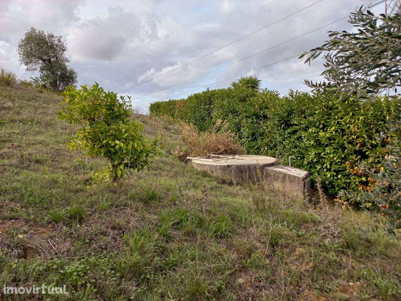 Terreno com 2.251 m2 para construção de moradia - Grande imagem: 5/9