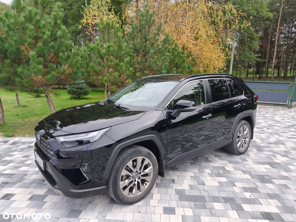 Toyota RAV4 2.5 Hybrid Executive 4x2 - 19