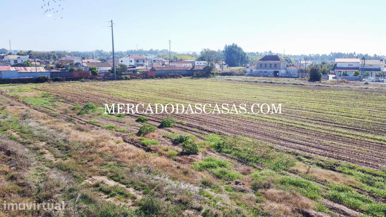 Terreno c/ 16,560m2 - São Miguel de Souto - Grande imagem: 3/14