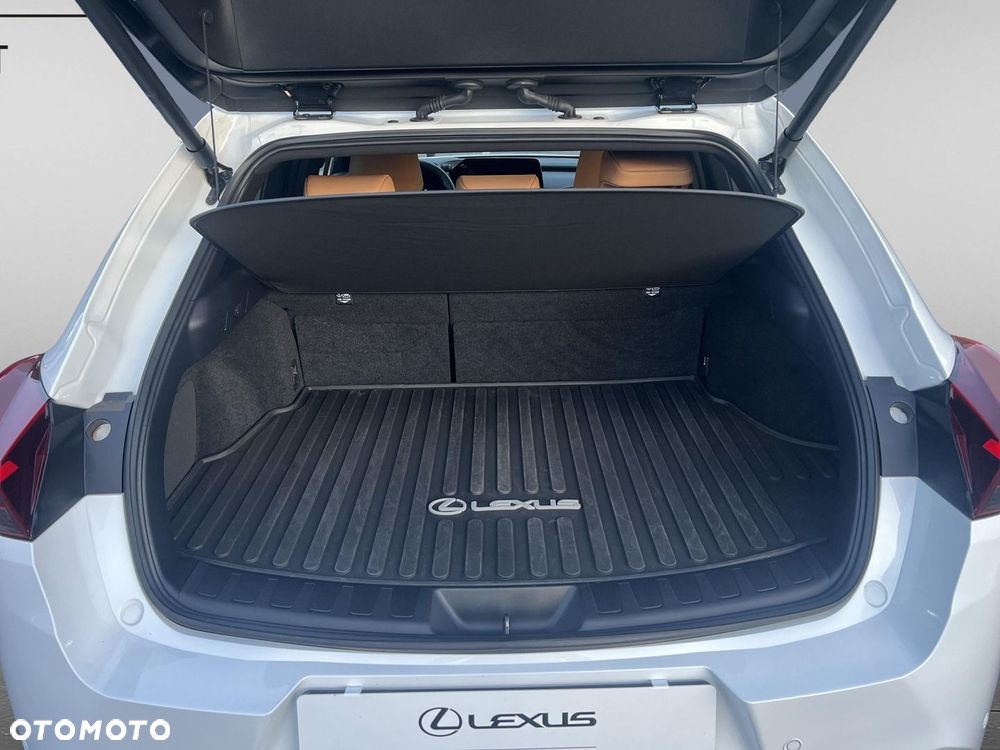 Lexus UX 300h F Sport Design - 19