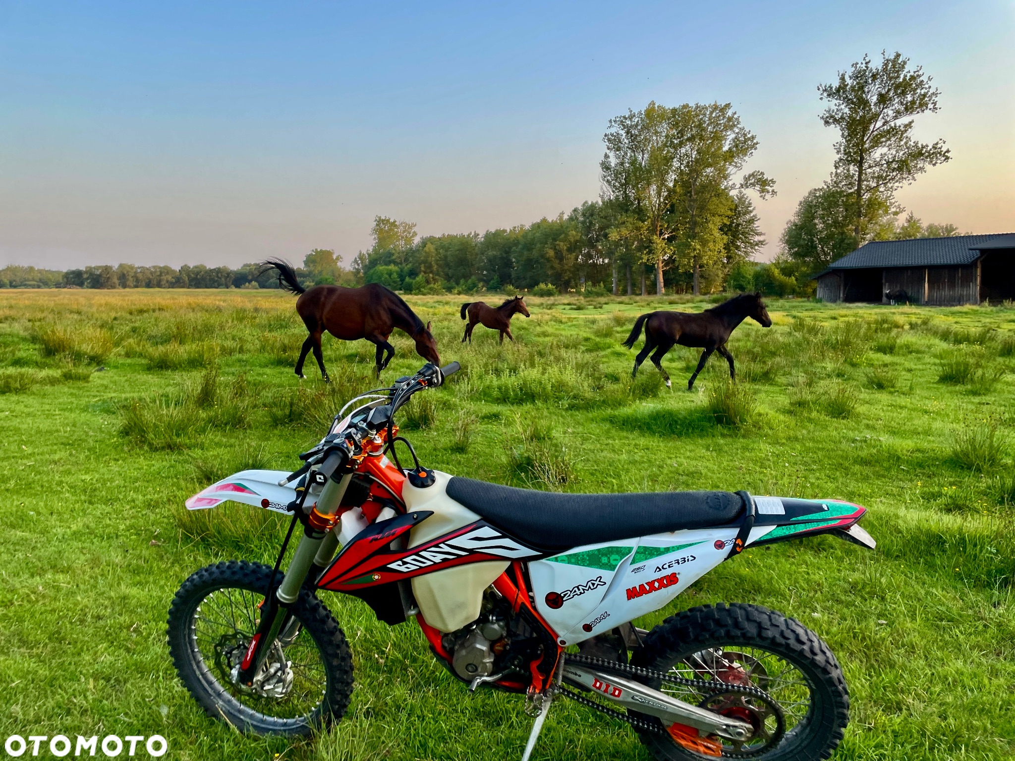 KTM Enduro