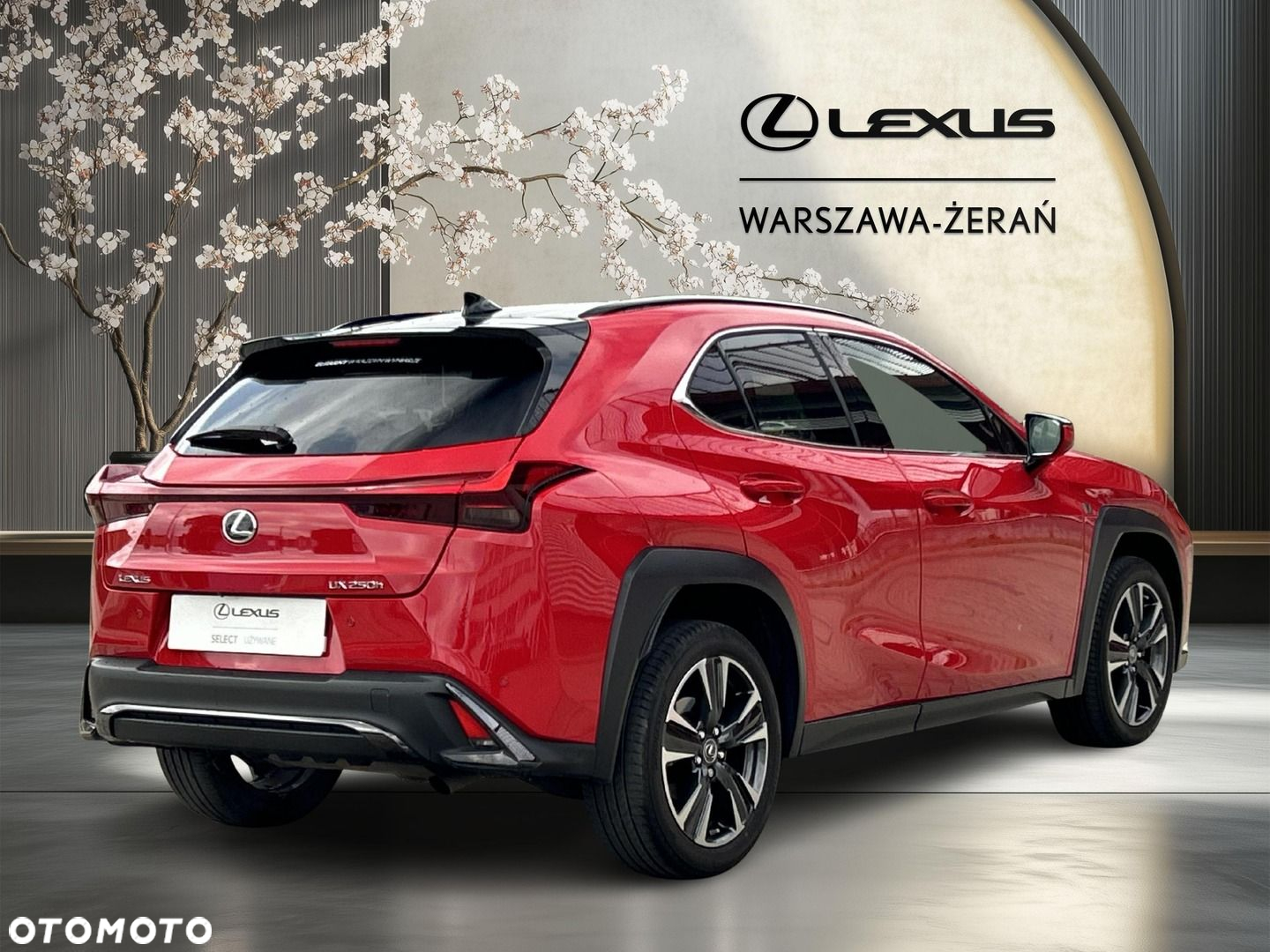 Lexus UX - 7