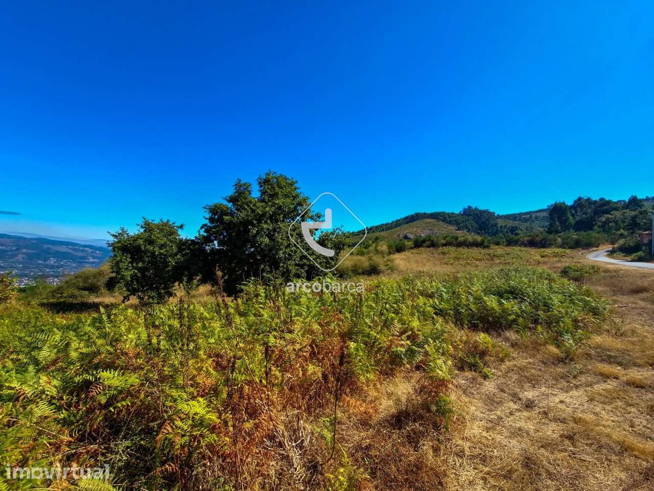 Terreno Florestal com Vista Panorâmica – Gondufe, Ponte de Lima - Grande imagem: 5/29