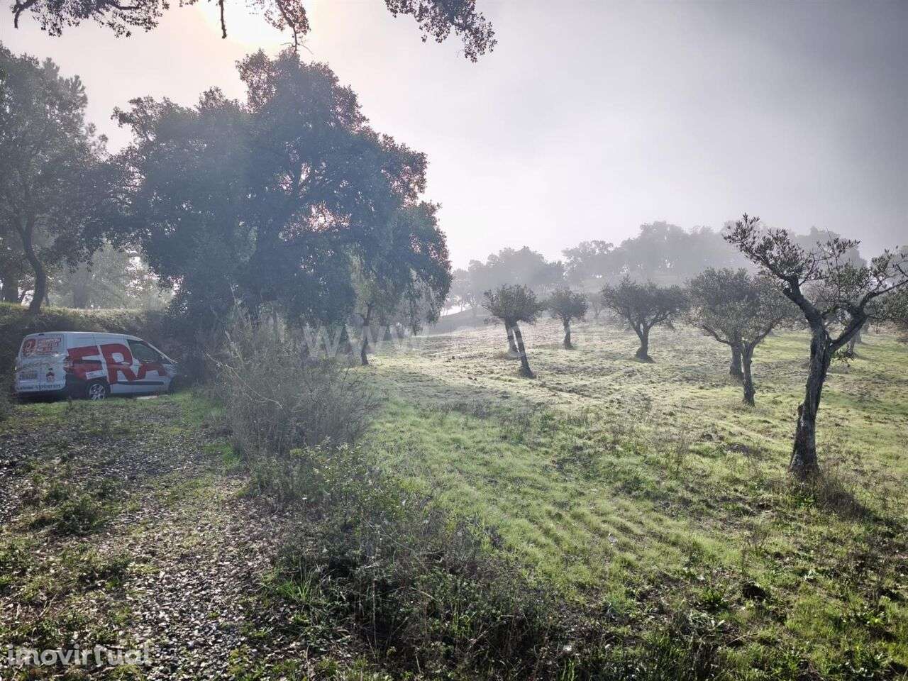 Terreno / Fundão, Telhado - Grande imagem: 3/8