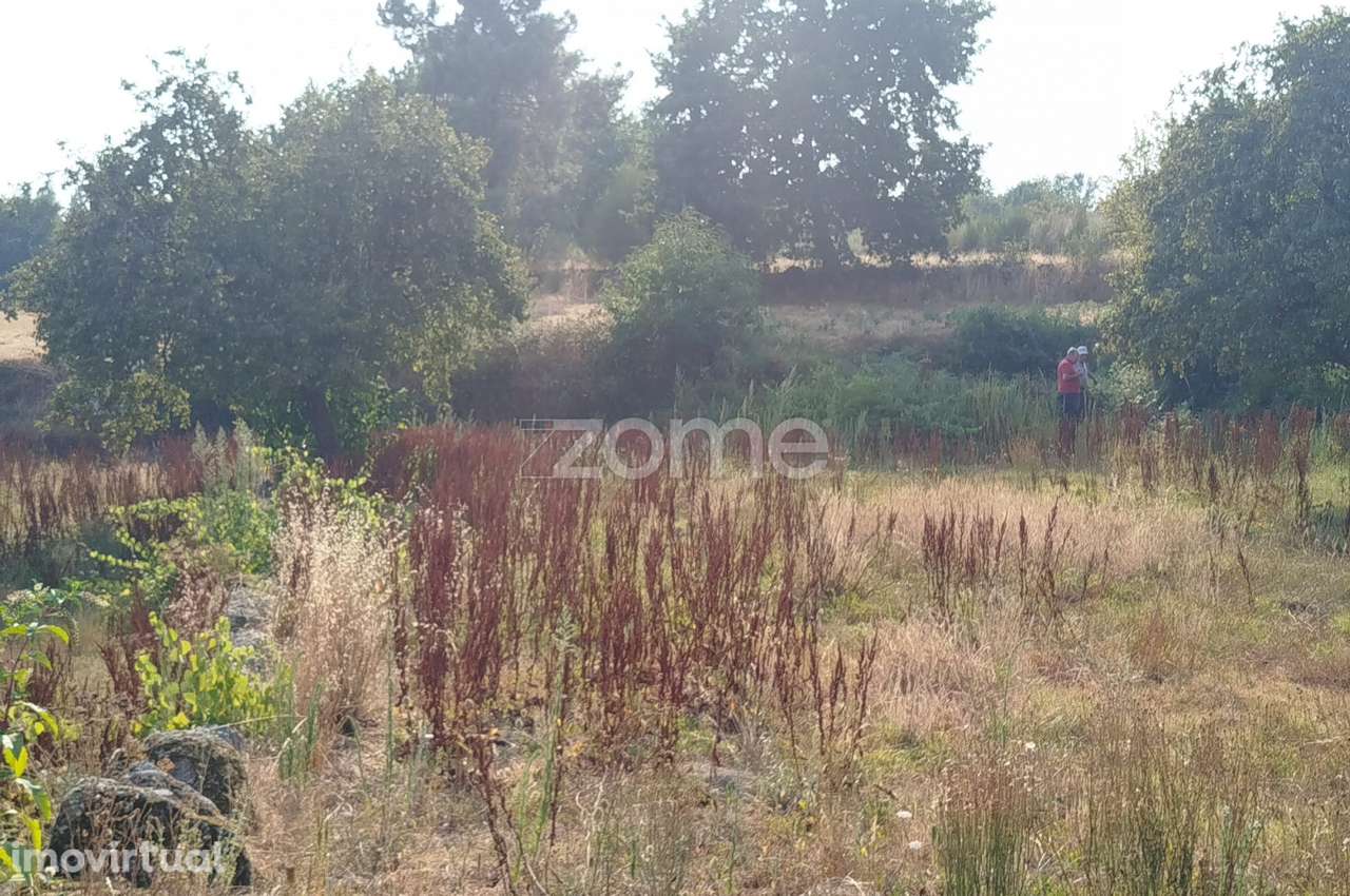 Terreno, 4 699 m², Santiago de Cassurrães e Póvoa de Cervães - Grande imagem: 3/19