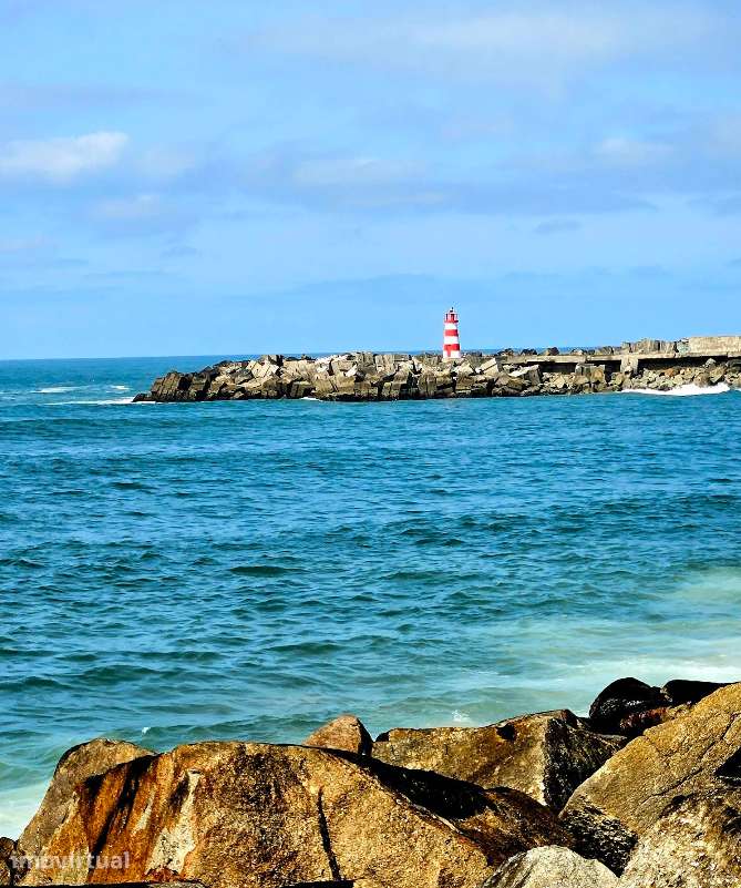 T1+1 Remodelado - Vila do Conde (Praia) - Grande imagem: 2/10