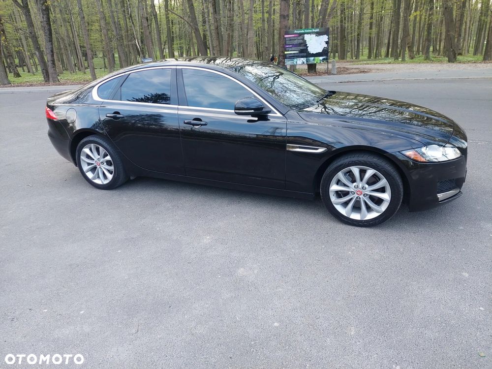 Jaguar XF - 22