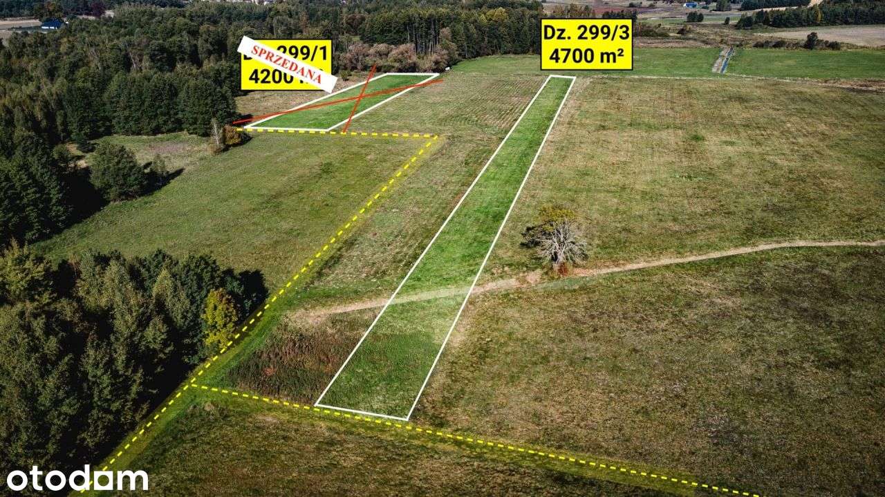 Działa rolna (łąka) 4700 m², Żebrak, gm. Skórzec - Pełny obrazek: 4/7