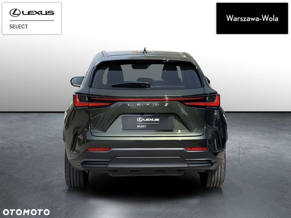 Lexus NX 350h Business AWD - 6