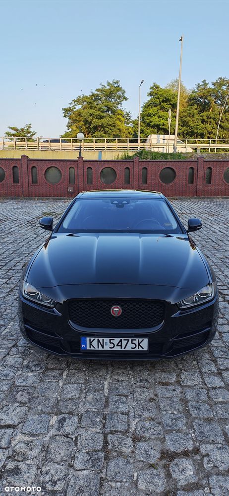 Jaguar XE - 17
