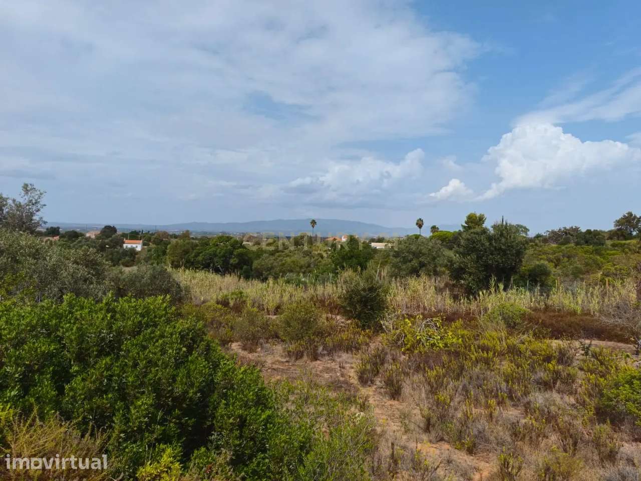 PROPRIEDADE COM 58.800 m² NA BEMPOSTA, ALVOR — UM POTENCIAL EXTRAORDIN - Grande imagem: 5/35