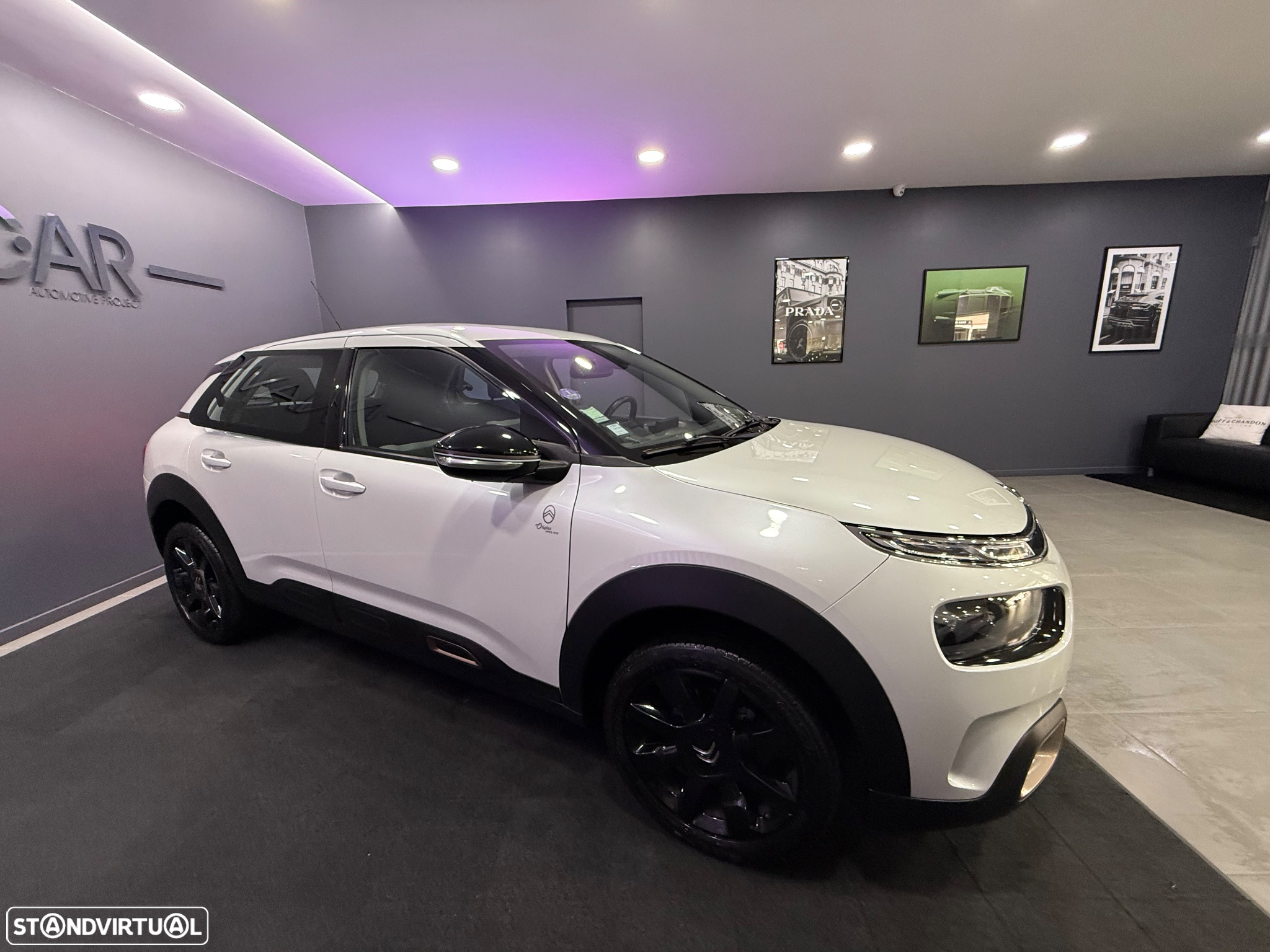 Citroën C4 Cactus PureTech 110 Stop&Start Origins - 32