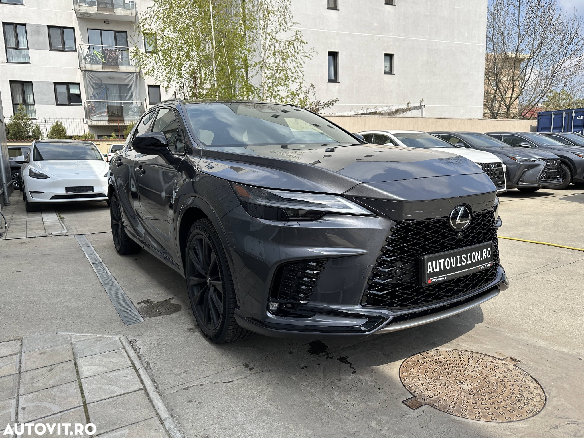 Lexus Seria RX - 4
