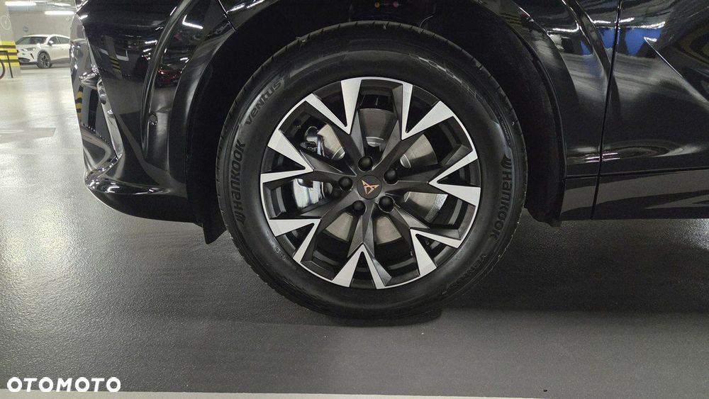 Cupra Terramar - 7