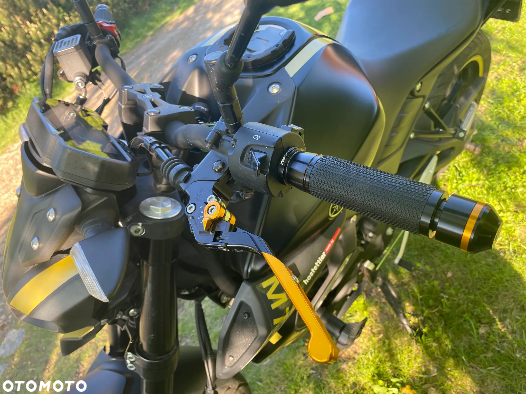 Yamaha MT - 6