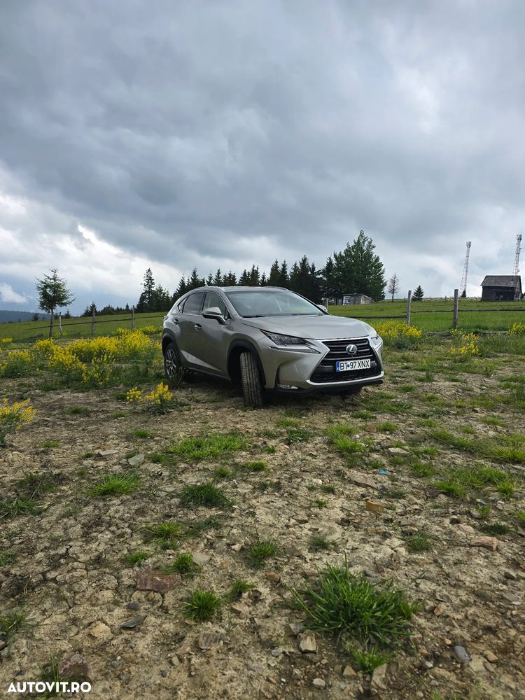Lexus Seria NX 200t AWD Luxury - 4