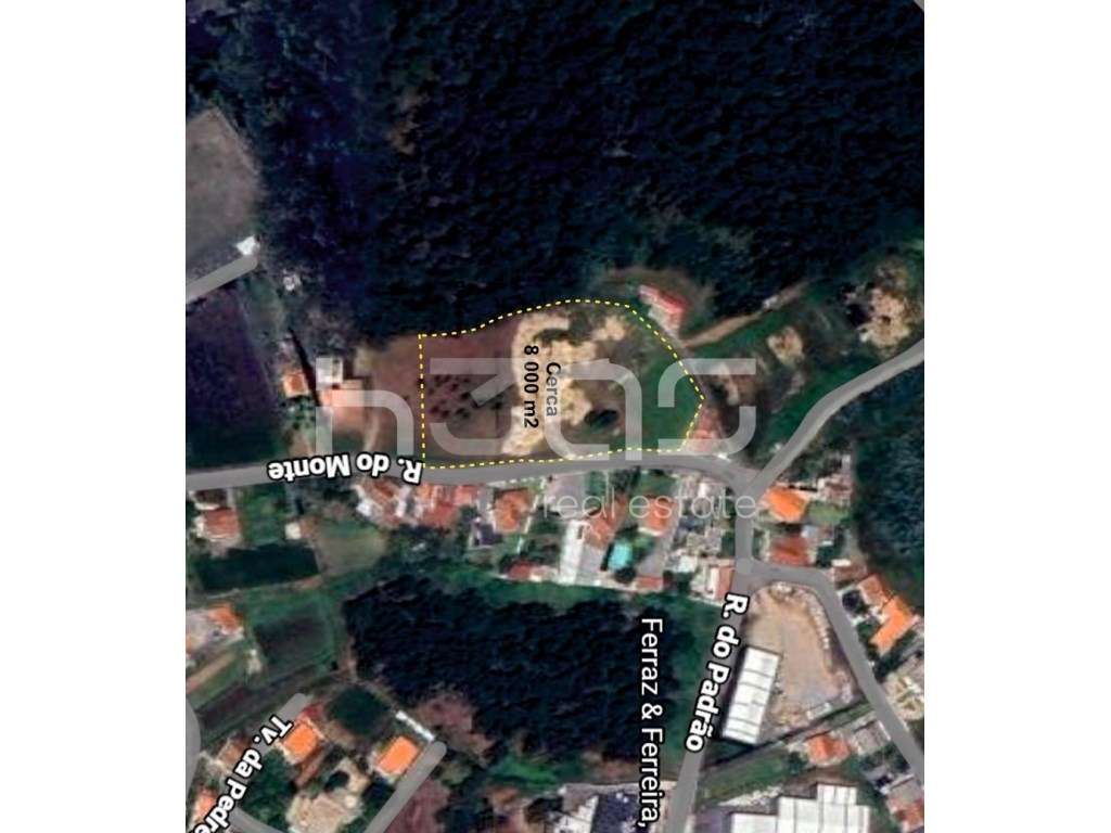 Terreno para Projeto Residencial | 4.750 m² de Construção - Possibi... - Grande imagem: 3/3