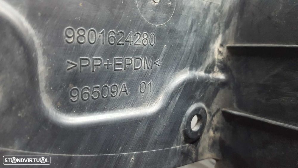 CAVA DA RODA CITROEN C4 CACTUS SHINE - 3