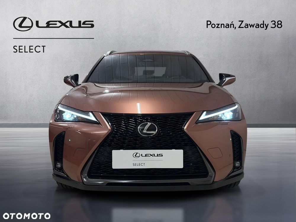 Lexus UX 300h F Sport Design - 6