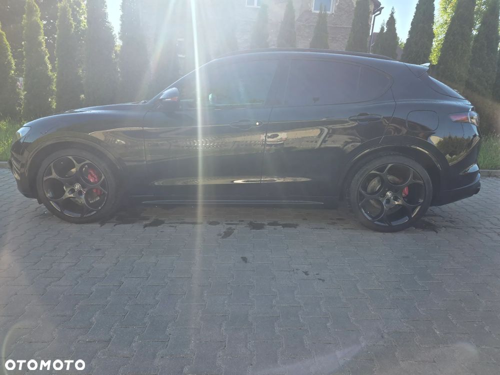 Alfa Romeo Stelvio 2.0 Turbo Veloce Q4 - 16