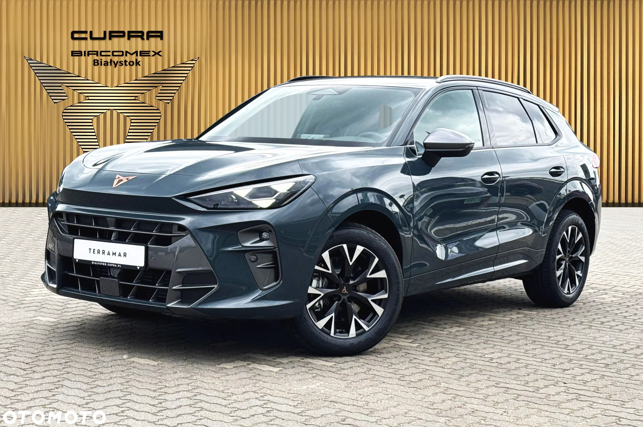 Cupra Terramar - 2