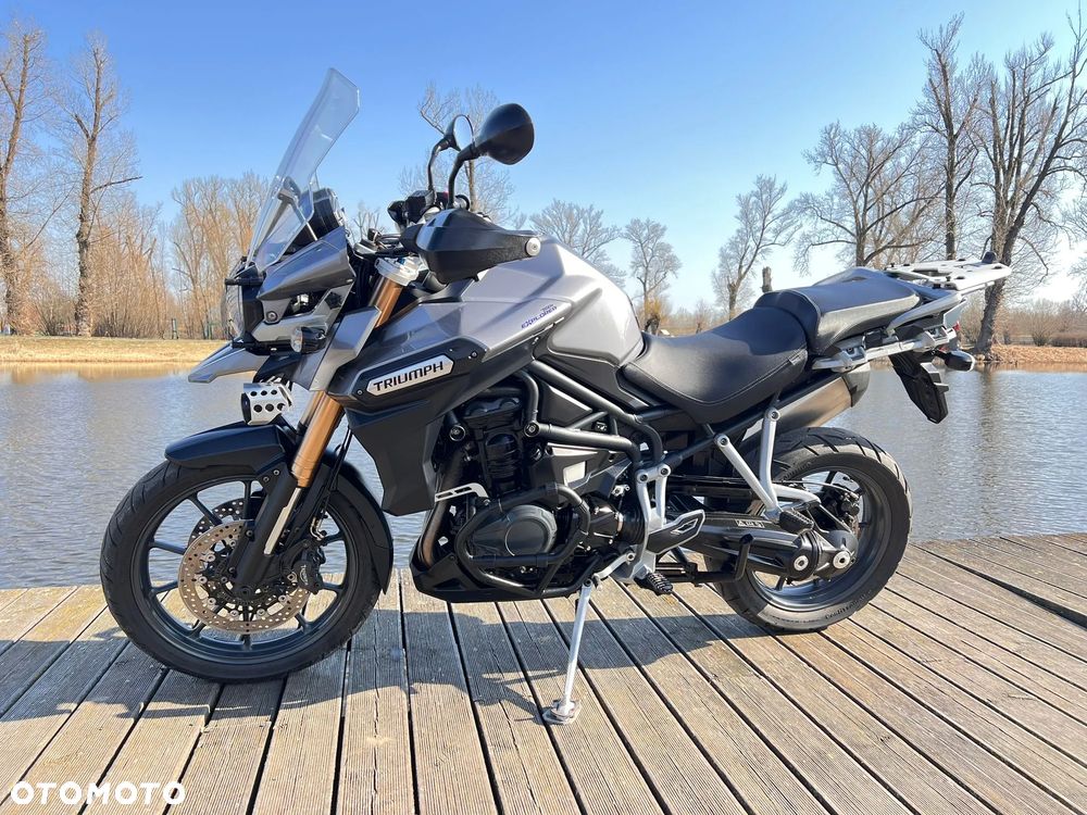 Triumph Tiger - 18