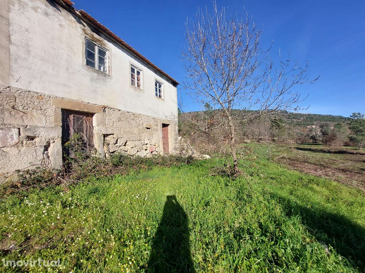 Quinta  Venda em Fornos de Algodres,Fornos de Algodres - Grande imagem: 5/10