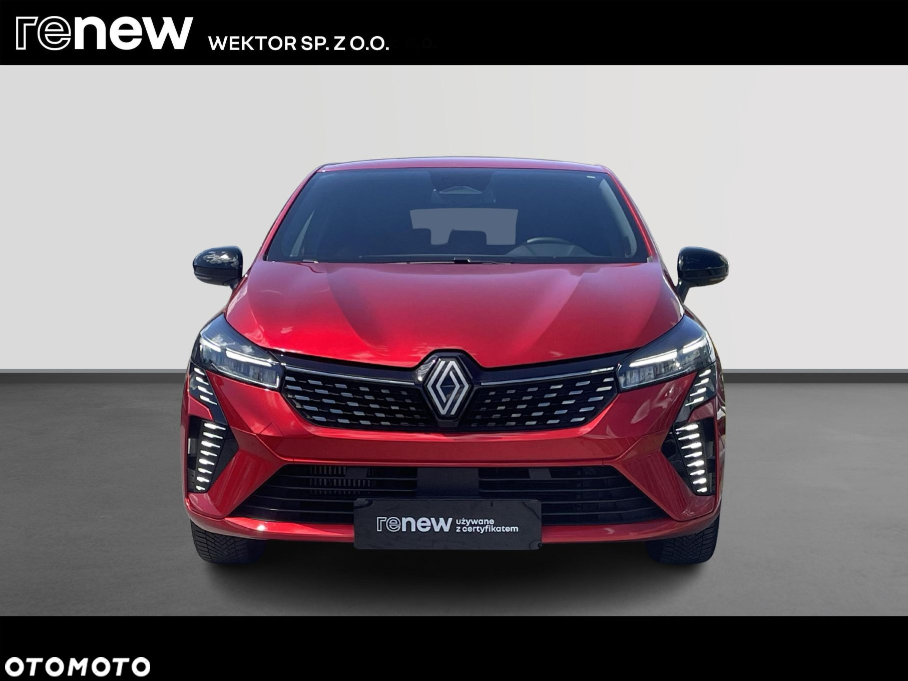 Renault Clio - 8