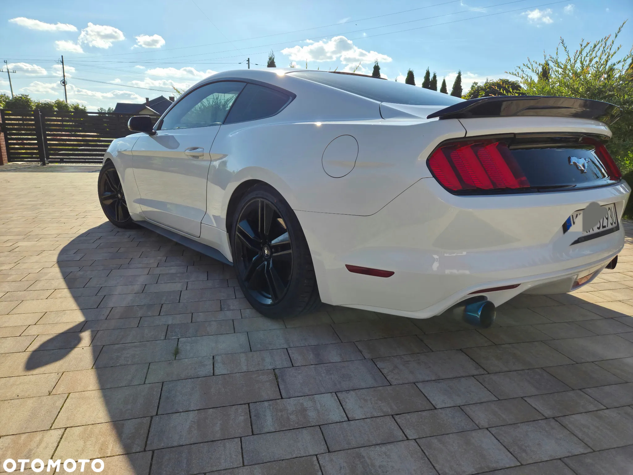 Ford Mustang 3.7 V6 - 3