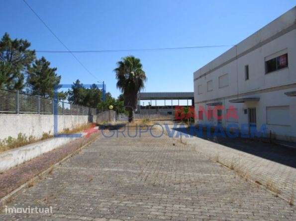 Conjunto de Armazéns com 5.460m2 em Muge, Salvaterra de Magos - Grande imagem: 5/10
