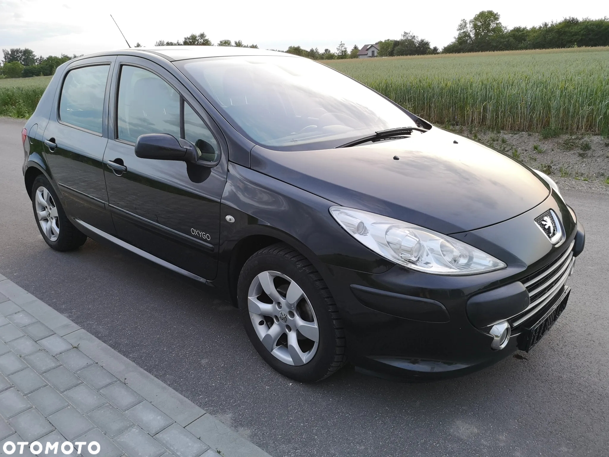 Peugeot 307 110 OXYGO - 27